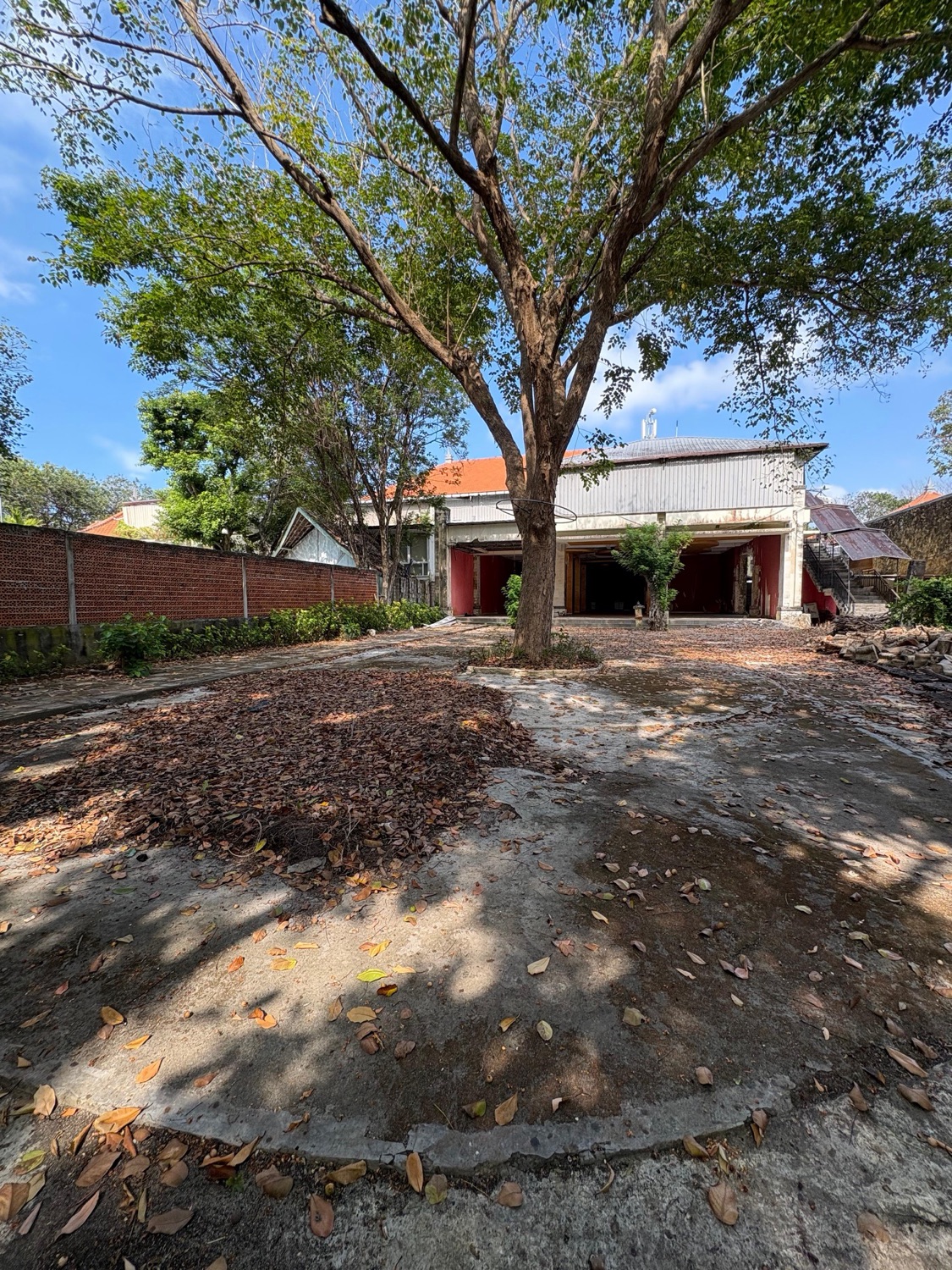 The plot: front garden with a mature tree and the existing building behind